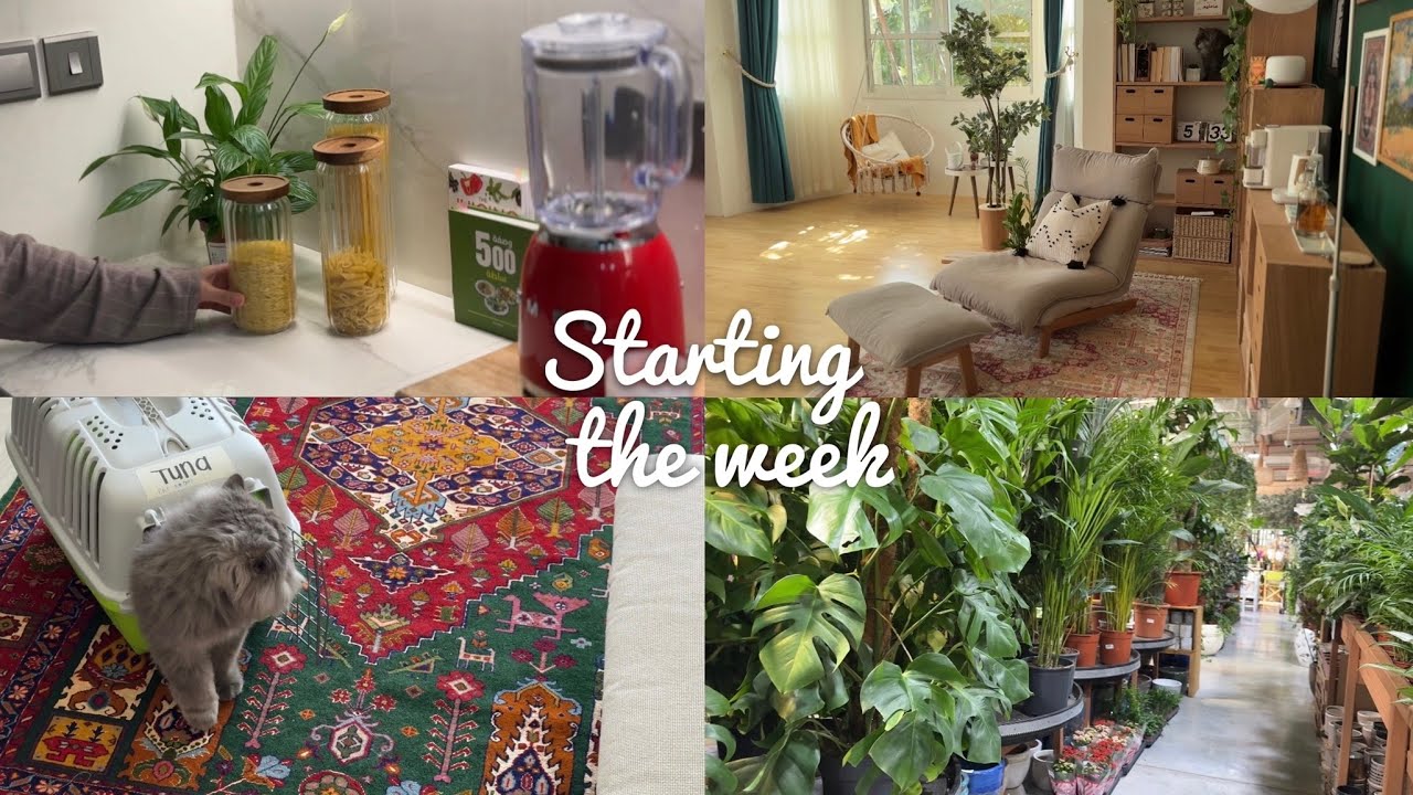 05 Starting the week | Dubai Garden Centre | فلوق بداية الأسبوع
