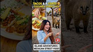 Tacos + Coatimundis in Cozumel! 🌮🐾 | Mexico