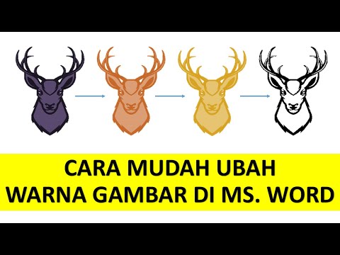 Video: Cara Memilih Bangku & Kursi Komersial