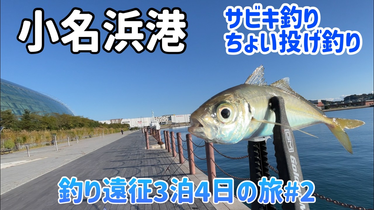 【福島遠征】小名浜港の堤防でアジを狙う！