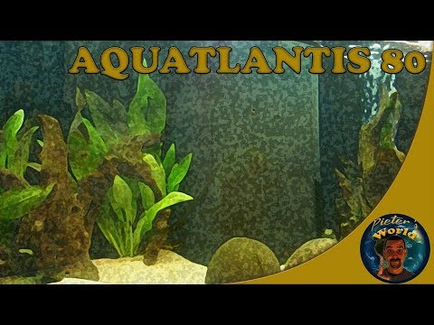 Aquarium Aquatlantis 80l in 6426 Roppen für € 270,00 zum Verkauf