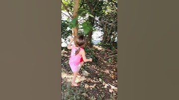 Ry "Climbing" A Tree #shorts #kids #tree #fyp #foryou #explore #fun #shortvideo #play #climbing