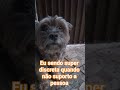 Eu sendo super discreta quando não suporto a pessoa #youtubeshorts #petsfofinhos #humor #modapet