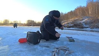 КОЛЕЮТ РУКИ, НО МЫ ЛОВИМ!!! РЫБАЛКА НА СОРОГУ В МОРОЗ!!!