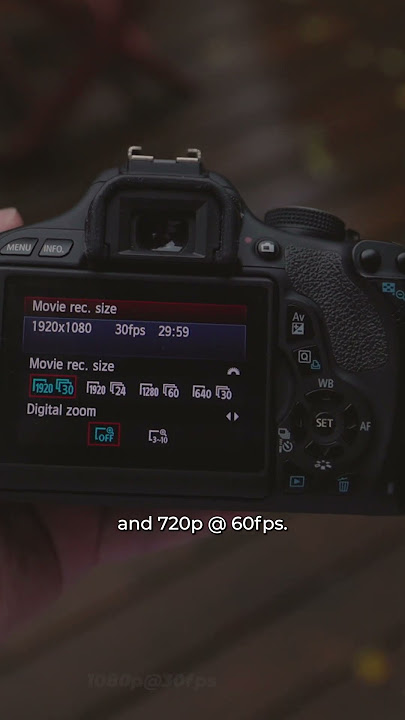 Can They Do 1080p @ 60fps? Canon 600D vs Canon 2000D (Rebel T7)