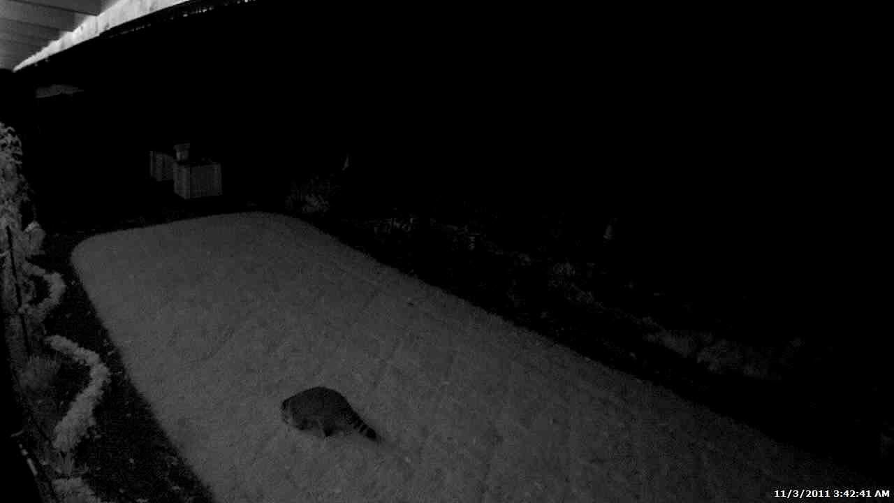 ACTi ACM-1231 - YouTube