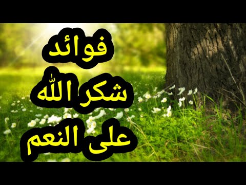 فوائد شكر الله على النعمه