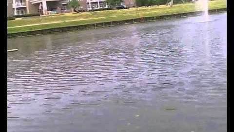 Water testing the Polaris Sea plane.