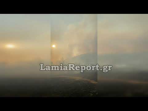 LamiaReport.gr: Πυρκαγιά στο Λογγίτσι Φθιώτιδας