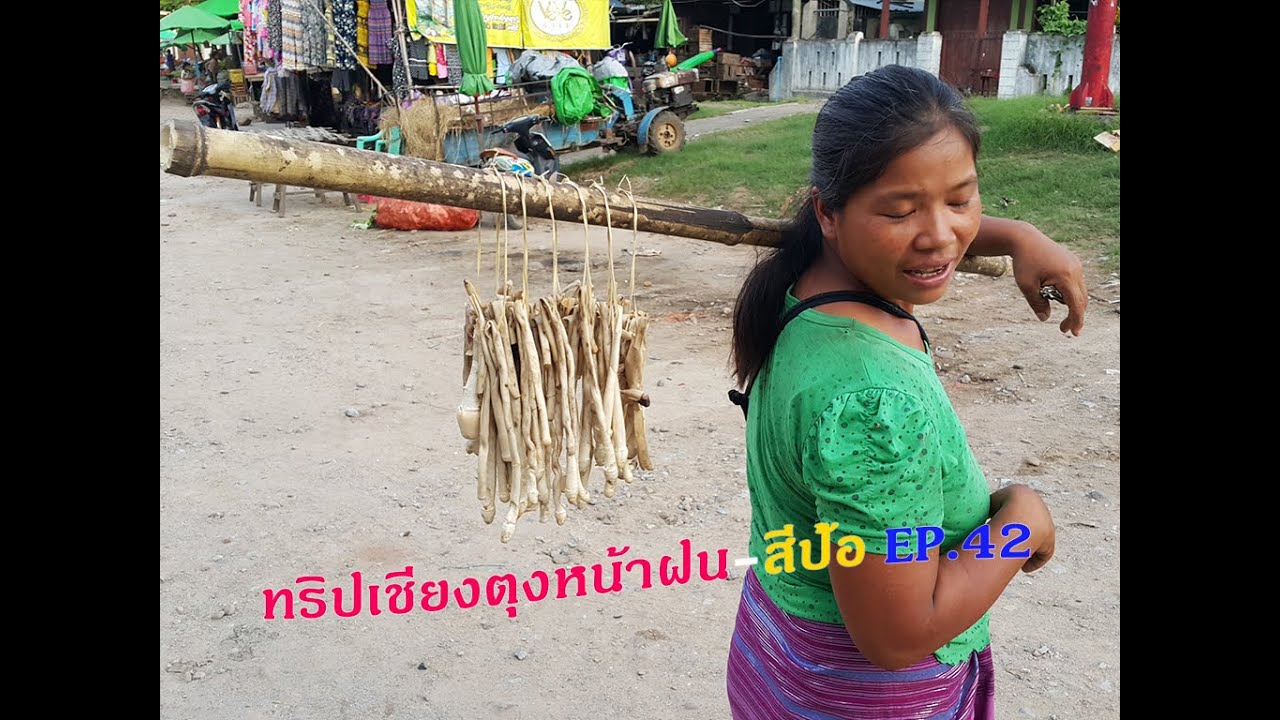 เที่ยวเชียงตุงหน้าฝน-สีป้อ EP.42 ชีวิตริมน้ำกินอาหารริมถนนในชุมชนท่องเที่ยวเล็ก ๆ เมืองสีป้อ Hsipaw