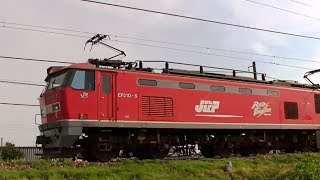 ﾚｯﾄﾞｻﾝﾀﾞｰEF510-5牽引高速貨物3097ﾚ　岡山→新潟