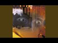 Miniature de la vidéo de la chanson Introduction: The Dog, The Dog Is At It Again