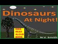 KIDS READ ALOUD BOOK | Dinosaurs at Night! | NVS Stories 2021