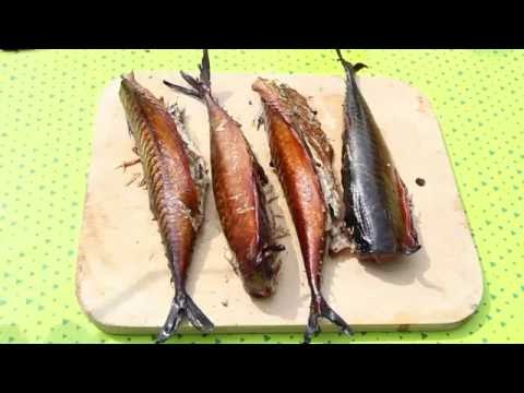 Рыба горячего копчения курсовая