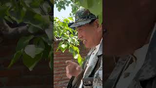 Comical Senior Moments: The Delightful Han-Tou Life