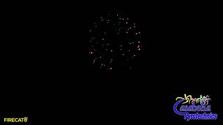 Freedom 4in Blue to Special Red Strobe