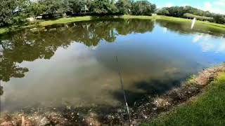 PLUSINNO Telescopic Fishing Rod Reel Combo Review Best Travel Fishing Kit 2025