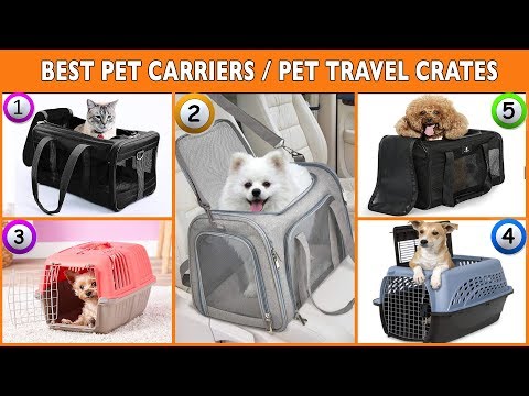 best-pet-carriers-2020---pet-travel-crates-reviews