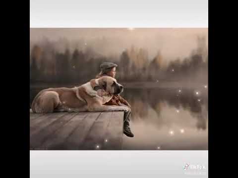 اغنيه انا مبسوط علشان لوحدي حاله واتس حزينه انا مبسوط علشان لوحدي