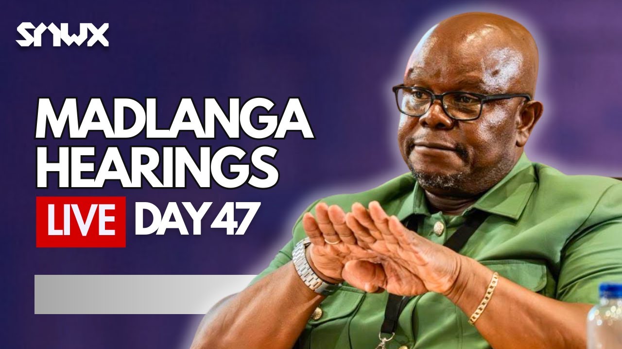 Senona gives more evidence at Madlanga