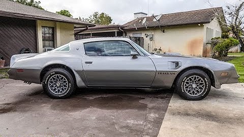 1977 Pontiac Firebird TA Walk-around Video