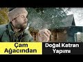 SERDAR KILIÇ I Çam Ağacından Doğal Katran Yapımı