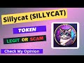 Sillycat sillycat token is a legit or scam  is sillycat token legit or scam 