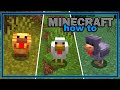 Everything You Need to Know About the Chicken (1.21.5+) | Easy Minecraft Mob Guide
