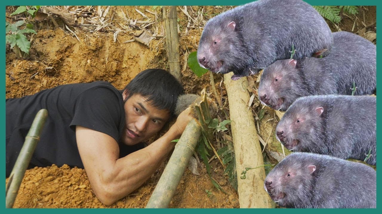 Survival Skills: Crazy Digging to Catch Bamboo Rats, Found Wild Chicken Eggs and Stream Fishing