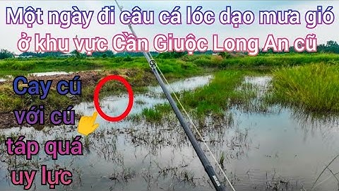 Tập 15 ✅ Câu cá lóc dạo ngày mưa gió ở khu vực Cần Giuộc Long An cũ với cú táp quá uy lực 