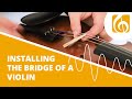 Installing the bridge of a violin