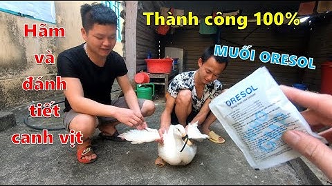 Cách hãm và đánh tiết canh vịt bằng muối Oresol đông hơn đá | Super Chef VN