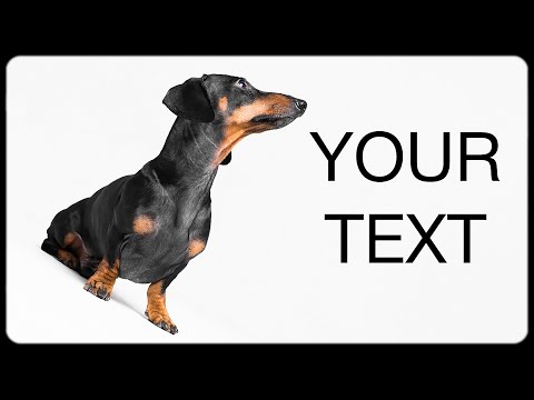 Video: Diese unglaubliche Smartphone App hilft verlorenen Hunden ihren Weg nach Hause zu finden