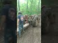 furgason 30 skidding logs