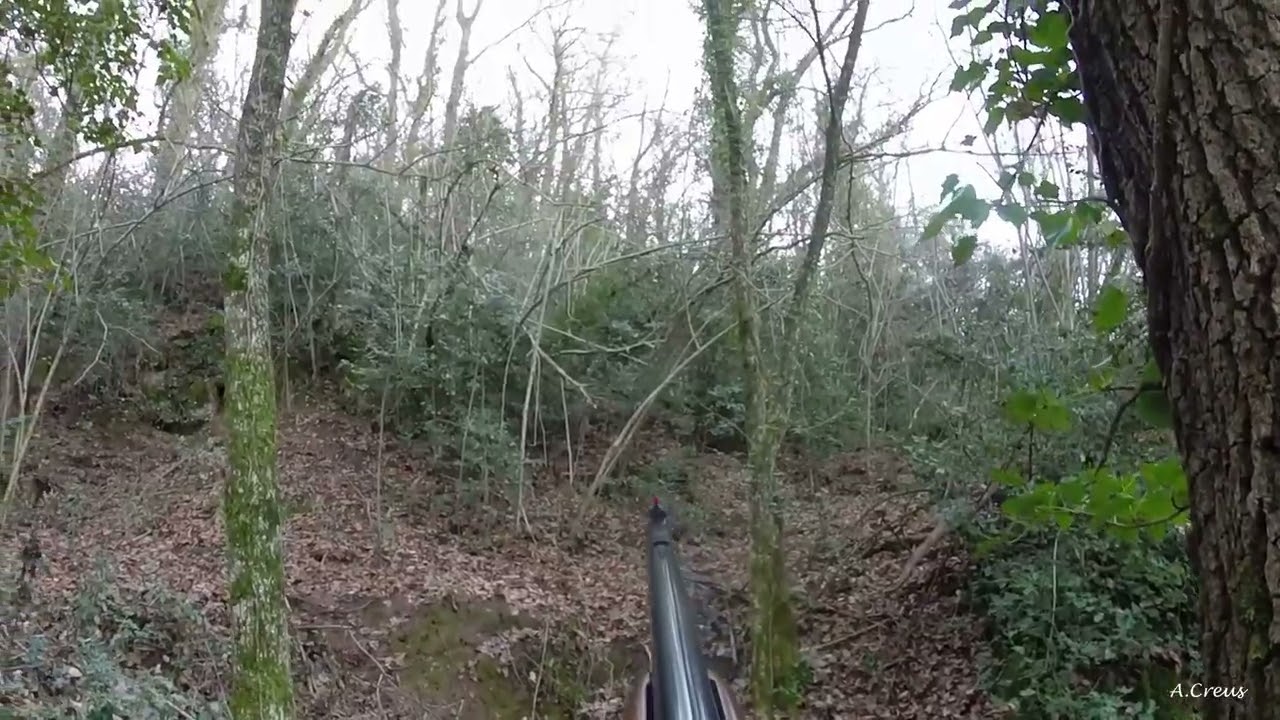 Caçant el Senglar a la Garrotxa - Recopilatori 02