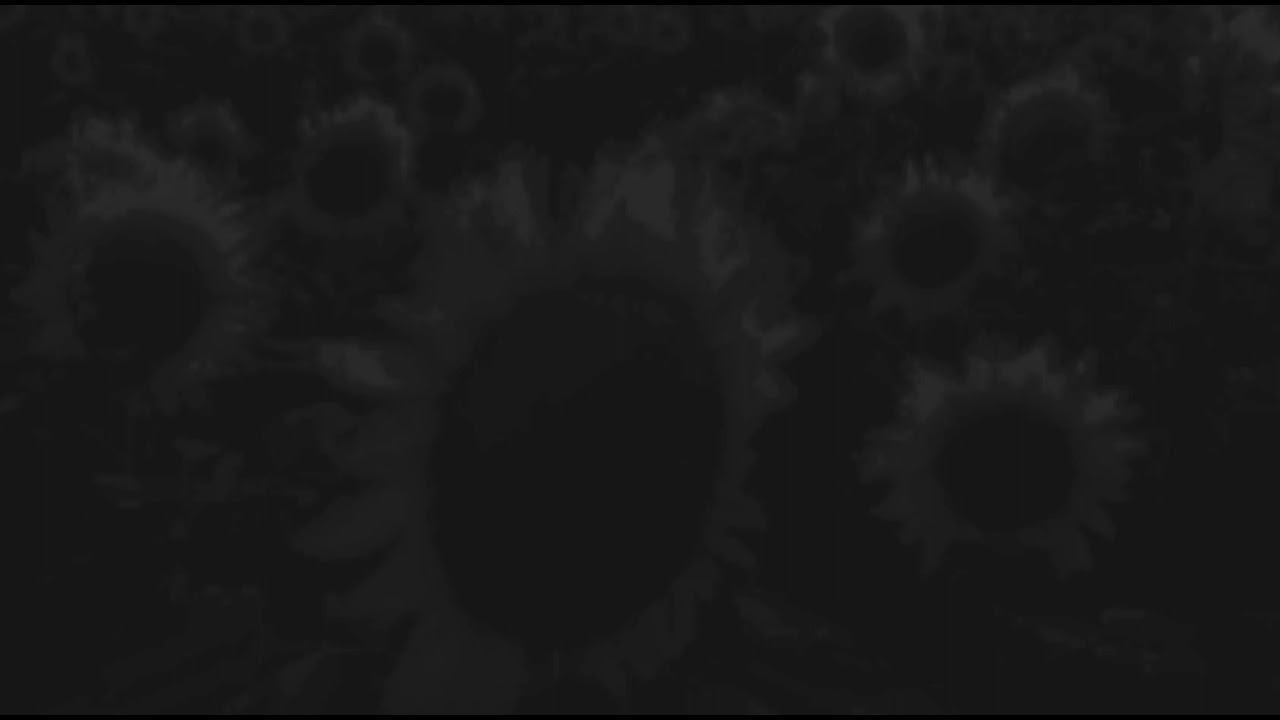 SLANDER - Love Is Gone (slowed + reverb)