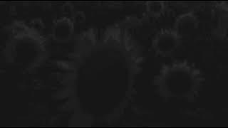 SLANDER - Love Is Gone (slowed   reverb)