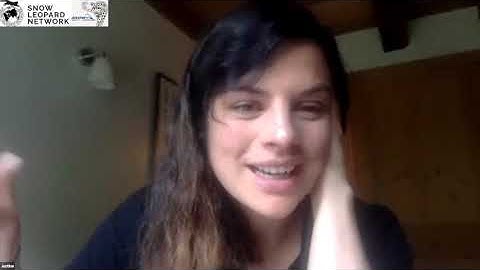 PAWS: Misidentifying snow leopards in Spatial Capture Recapture