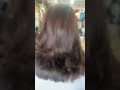 Blow dry brush by Franco & Co