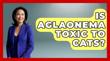 Is Aglaonema Toxic To Cats? - The Plant Enthusiast