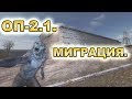 Миграция. ОП-2.1.