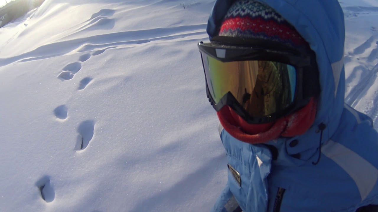 Поларис вайтрак lx500