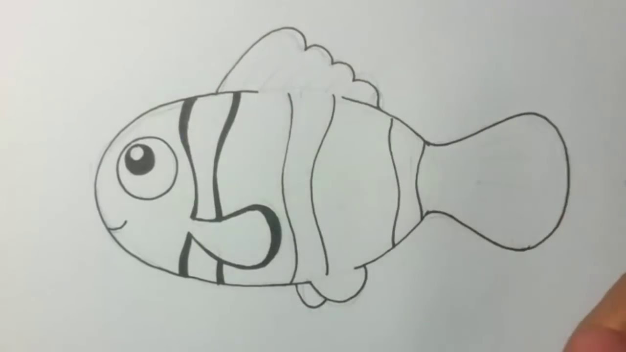 How to Draw - Clownfish - YouTube