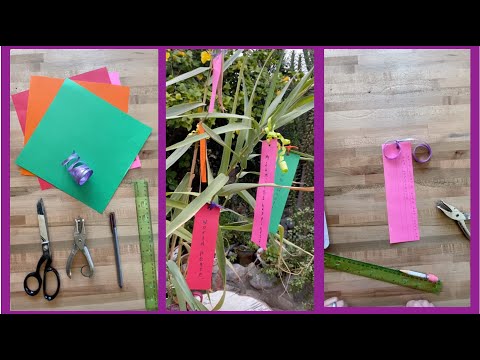 KidLit TV Craft Chat with Moni Ritchie Hadley THE STAR FESTIVAL