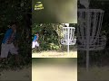Perfect Disc Golf Throw: Watch This Ace! 🤯 #shorts