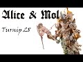 Alice and Mol Life in Ruin