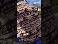 Police Radio Chatter & Strange Civilian Interaction Caught On Cam! #shorts