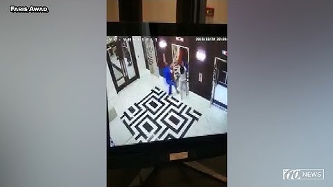 Doctor saves dog after leash gets trapped in rising elevator | 10News WTSP