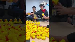 Duck Counting