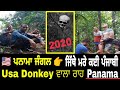 Panama Jungle ਦਾ ਕਾਲਾ ਸੱਚ 🔴Usa Donkey Time ਆਉਂਦਾ ਹੈ ਇਹ ਖਤਰਨਾਕ ਜੰਗਲ 🇺🇸 ਖਾਂ ਗਿਆ ਕਈ ਪੰਜਾਬੀ ਗੱਭਰੂ